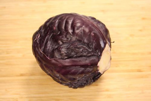 cook 20161109 2