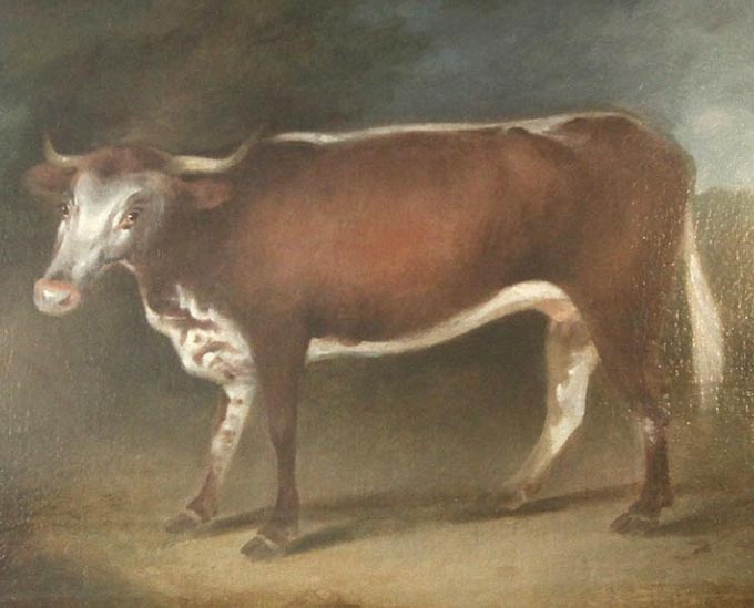 天然痘を制圧せよ ワクチン誕生物語 エドワード・ジェンナー 前編