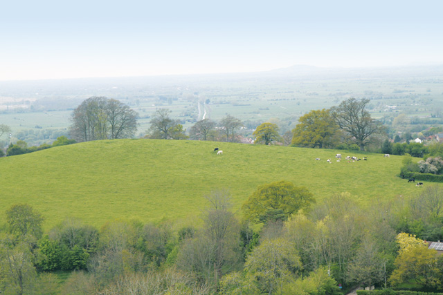 glastonbury