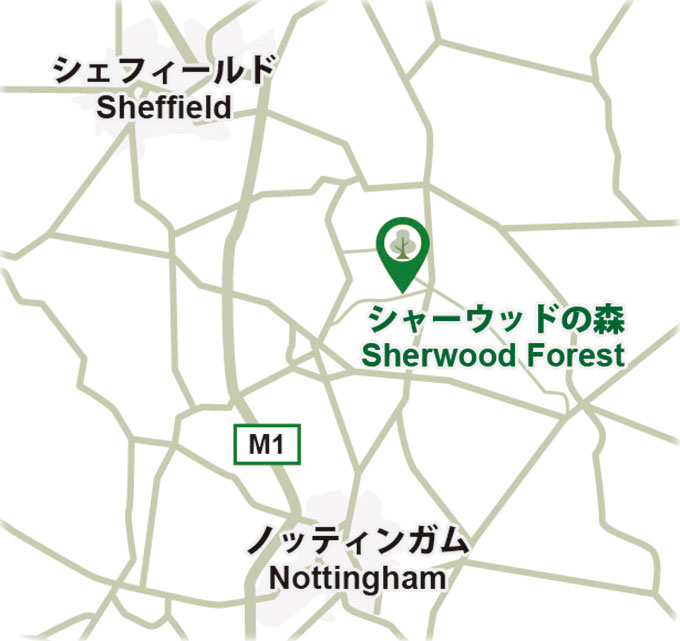 Sherwood Forest Map