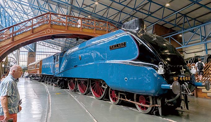 Mallard