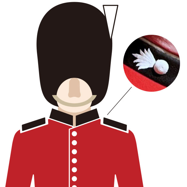 Trooping the Colourがよくわかる 英王室を守る近衛兵たち - Online