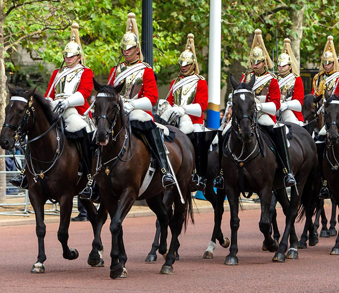 ＧＢ英軍/イギリス軍＊陸軍＊王室近衛兵/師団パンツ＊ウェスト約８１ｃｍ（実物） Trooping the Colourがよくわかる 英王室を守る近衛兵たち - Online