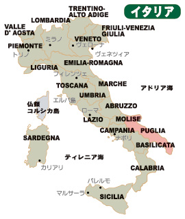 ご当地ワインと郷土料理 名産物 スペイン プリオラート Onlineジャーニー